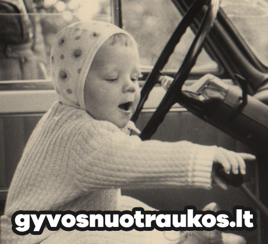 Gyvos nuotraukos